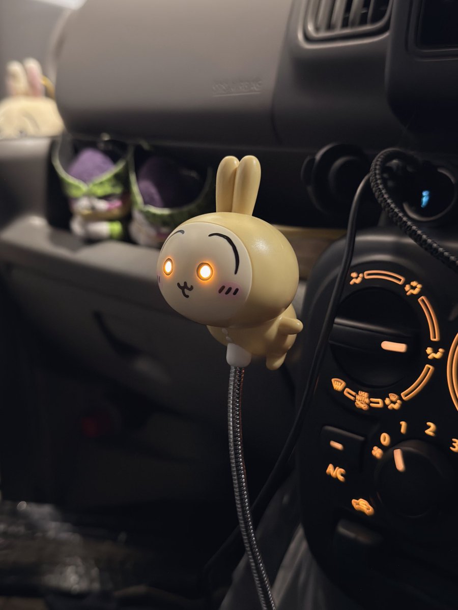 ガンギマリうさぎ🐰