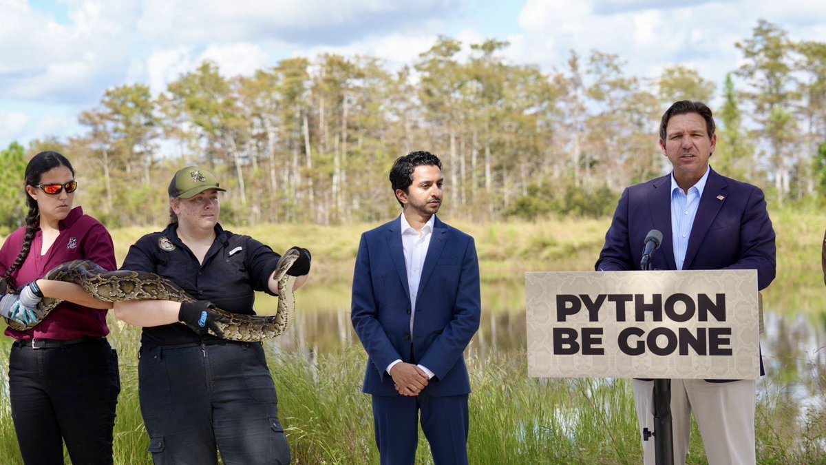 GovRonDeSantis's tweet image. Last year, @MyFWC announced a partnership with Miami-based company Inversa to help preserve the Everglades’ biodiversity by removing invasive species, namely Burmese Pythons. They have already delivered on their Year 2 objective—one and a half years ahead of schedule. In the…