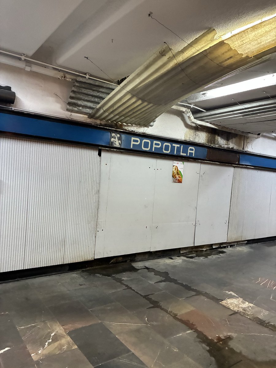 Rogelio Herrera tweet media