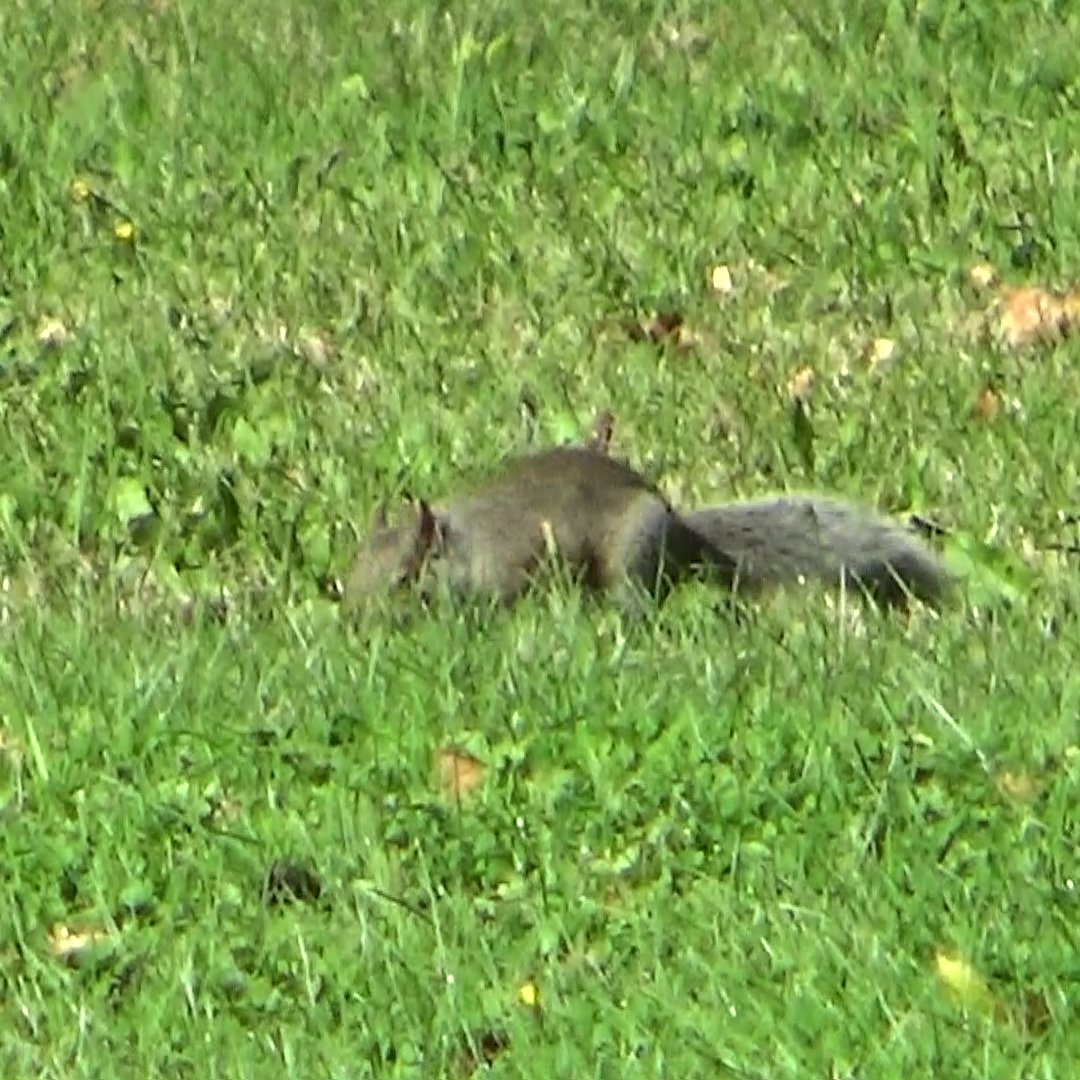 NEVER STOP SEARCHING!
<a href="/photoaotonao/">あおとなお</a> 
<a href="/morinagachalk/">森永チョーク</a> <a href="/yu5124/">優</a> <a href="/hashiru_higuma/">走るヒグマ🐻</a> <a href="/RuoXi31355/">若松実喜男</a> <a href="/Zephyr_Zboys/">ZEPHYR</a> <a href="/55iCA8UxJkfhhEc/">飲んべえ</a> <a href="/poliwag_moon/">ニョロモファン</a> <a href="/u_zensai_y/">農業生産法人　然菜</a> <a href="/kagayaki604/">光🍀✽.｡.:・ﾟ</a> <a href="/Ngkz_Ishichan/">いしちゃん</a> <a href="/ghilbatoro/">圧倒的shimayoshi</a> <a href="/tetutora334/">てっちゃん</a> <a href="/Br9Pj/">しんこ</a> <a href="/hiruma_kuki/">晝間玖生</a> <a href="/train115to227r/">マスカット鉄道</a> <a href="/A3B2_SiO4_3/">KeiM</a> <a href="/horrorlove_2/">ホラー暫く不定期浮上【気持ちが落ちたら少しだけ浮上👋】</a> <a href="/naocoolove1/">バツヒロ</a>