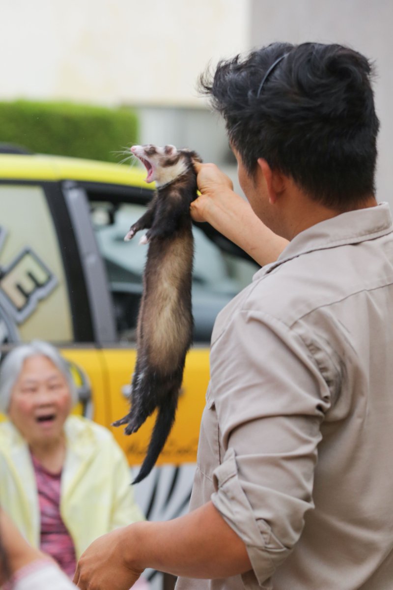 SeenHealth's tweet photo. ❤️🩹 Healing the Heart | Seen Health’s Mini Petting Zoo
🐾 Today, Seen Health welcomed a group of very special “little guests”!
Early in the morning, a few adorable animals began to “line up for entry”—
—from chinchillas from Bolivia to lizards from Afghanistan🦎,
our mini animal friends came to visit our lovely seniors 🐐🐇🐥

👴 Without leaving home, our participants got to “travel the world” and meet animals from every corner of the globe.
⁉️ Healing isn’t just about medicine — it’s also about the gentle warmth brought by these little creatures.

💚 At Seen Health, we hope every holiday — and every ordinary day — brings our seniors a bit of freshness and a lot of joy.

📍 Address: 1839 W Valley Blvd, Alhambra, CA
📞 Message us or call to schedule a visit: (855) 586-7336
🔍 Learn more: https://t.co/qVhCckHZWR

#SeenHealth #MiniZoo #PetTherapy #SeniorCare #AnimalTherapy #AgingWithJoy 
#ElderlyCare #IntergenerationalLove #CommunityCare #Alhambra #LosAngeles 
#Chinchilla #Lizard #TherapyAnimals 

❤️🩹 療癒內心｜見心長輩的迷你動物園
🐾 今天見心頤養迎來了一群特別的「小客人」！
一大早，幾隻可愛的小動物開始「排隊進場」——
——從 玻利維亞的龍貓 到 來自阿富汗的蜥蜴🦎，
我們的 迷你動物朋友們 來探望叔叔阿姨啦 🐐🐇🐥

👴 長輩們足不出戶，就能「環遊世界」與各地小動物見面。
⁉️ 原來，療癒不只是藥物，還有這份被小動物���化的溫柔。

💚 在見心頤養，我們希望每一個節日、每一天，都能帶給長輩一點新鮮感、一份快樂。

📍 地址：1839 W Valley Blvd, Alhambra, CA
📞 私訊或來電預約參觀：(855) 586-7336
🔍 了解更多：https://t.co/qVhCckHZWR
