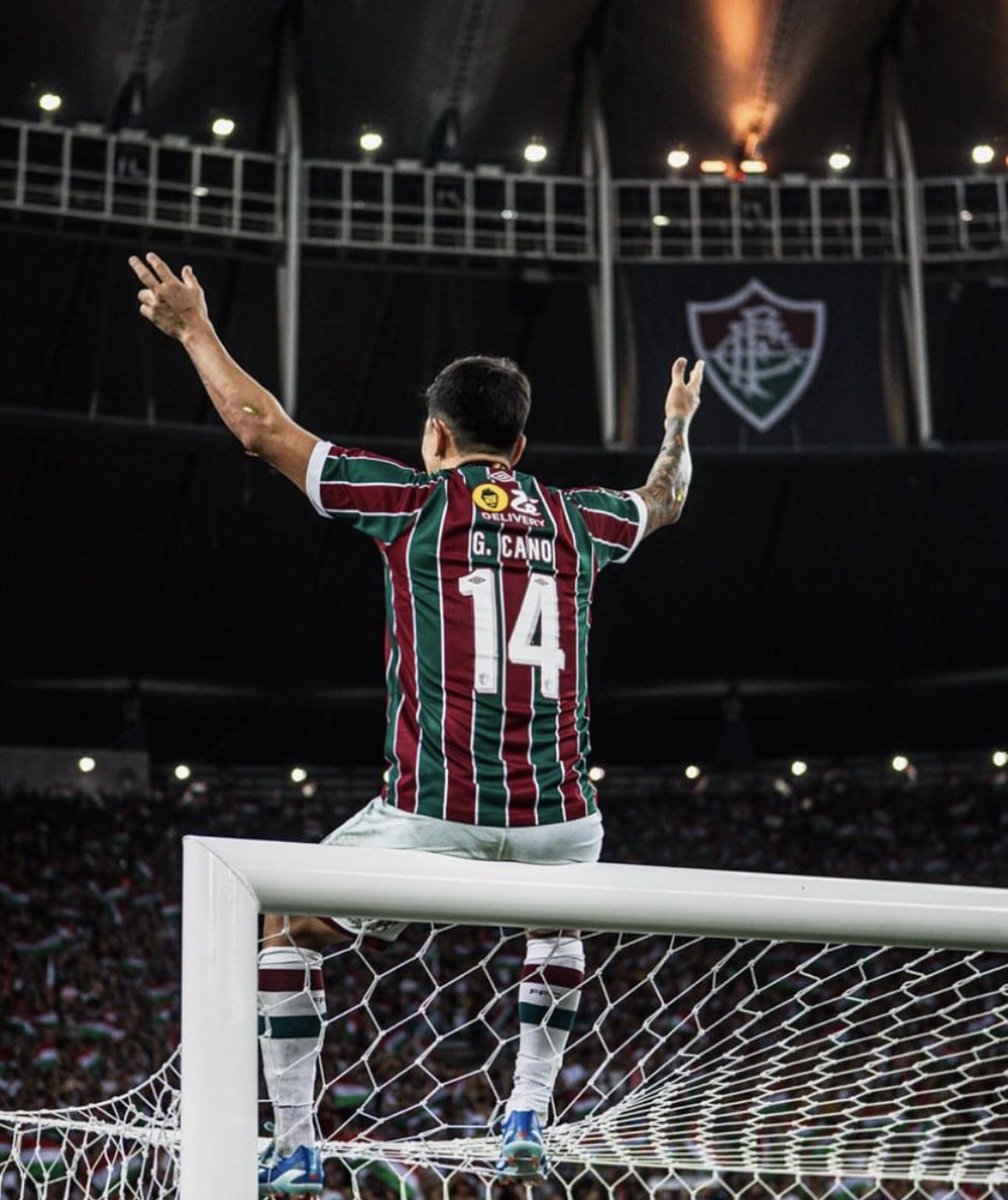Eu Jamais vaiarei o German Cano na minha vida …

Se ele não está entregando e ainda assim está sendo escalado, a culpa é do Treinador, se não temos um elenco com um centroavante descente a culpa é do Mário.

German sempre será o 0️⃣1️⃣.