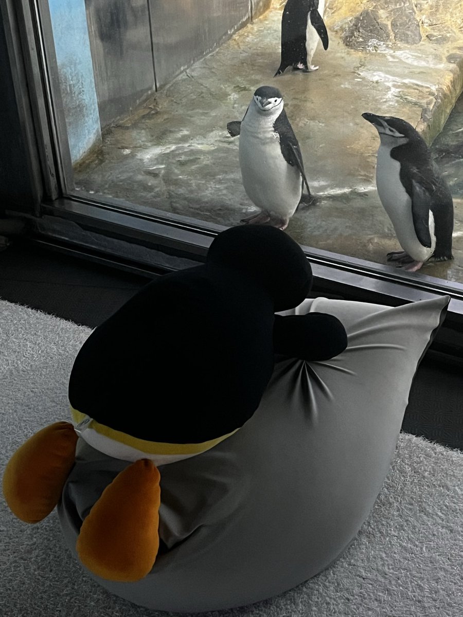 ペンギン - Search / X