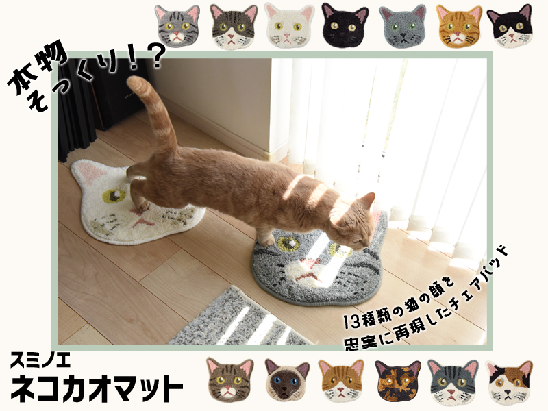 猫用品のゴロにゃん (@56nyan_com) / Posts / X