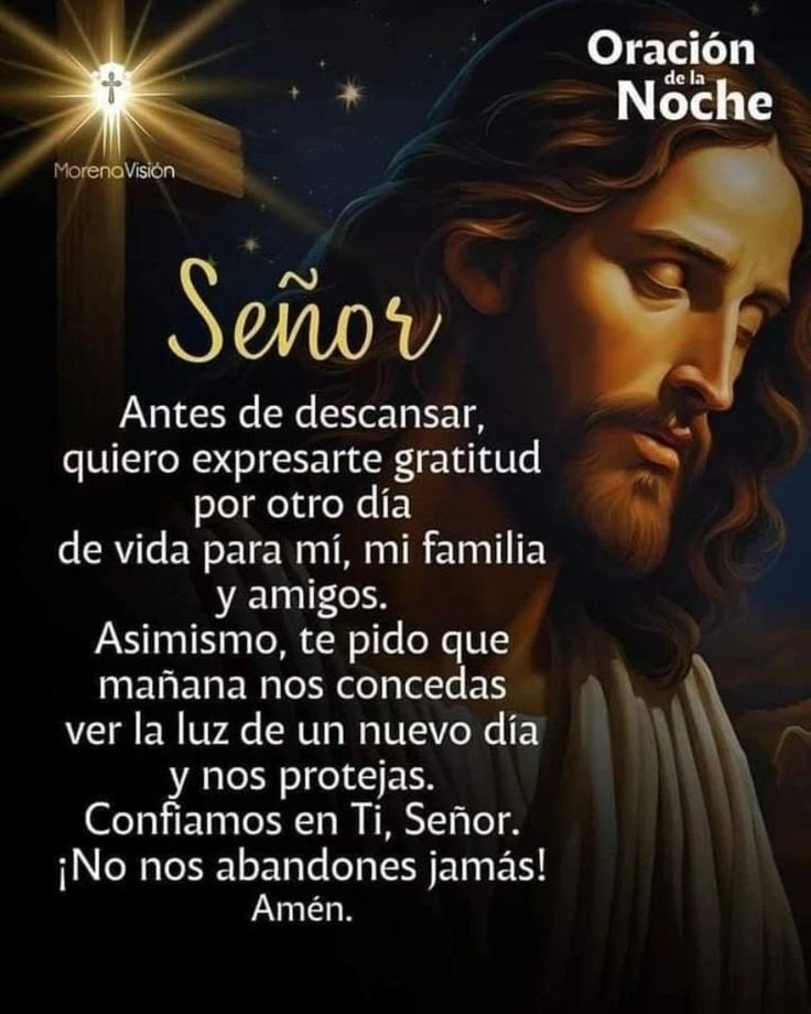 jalisco52's tweet image. Padre Celestial antes de descansar te damos gracias por otro día de vida para nosotros, nuestras familias y amigos. Concédenos mañana ver la luz de un nuevo amanecer y tu protección.