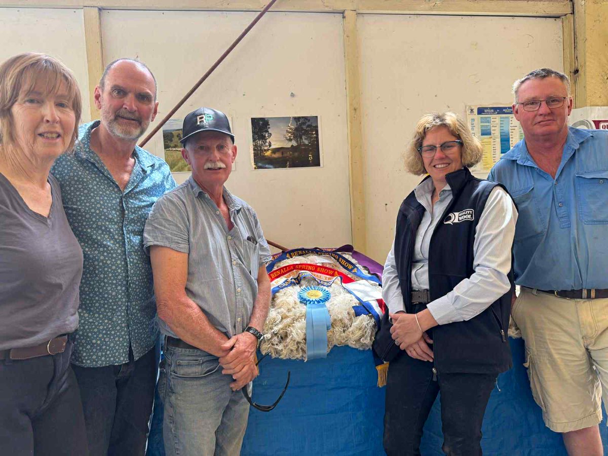 QualityWool's tweet image. A TRIPLE treat for Trevor &amp;amp; Louise Bennett at the #Benalla Show!

Supreme Champion Fleece, Champion Merino Fleece &amp;amp; Best in Section — all proudly supported by Quality Wool. 

Stewards Rick &amp;amp; Meredith Sadler, Murray Mackenzie, Stuart Green &amp;amp; judge Jenni Turner (Quality Wool).