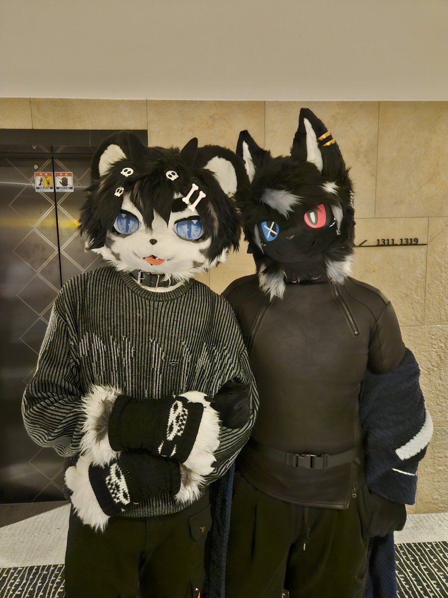 검은 멋쟁이들
<a href="/Not_Chiri/">치리𓃮𓃮𓃮</a> <a href="/Hyuki_Deimos/">HYUKI 🦊 💫</a>
#퍼레이드2025 #FURRAID2025