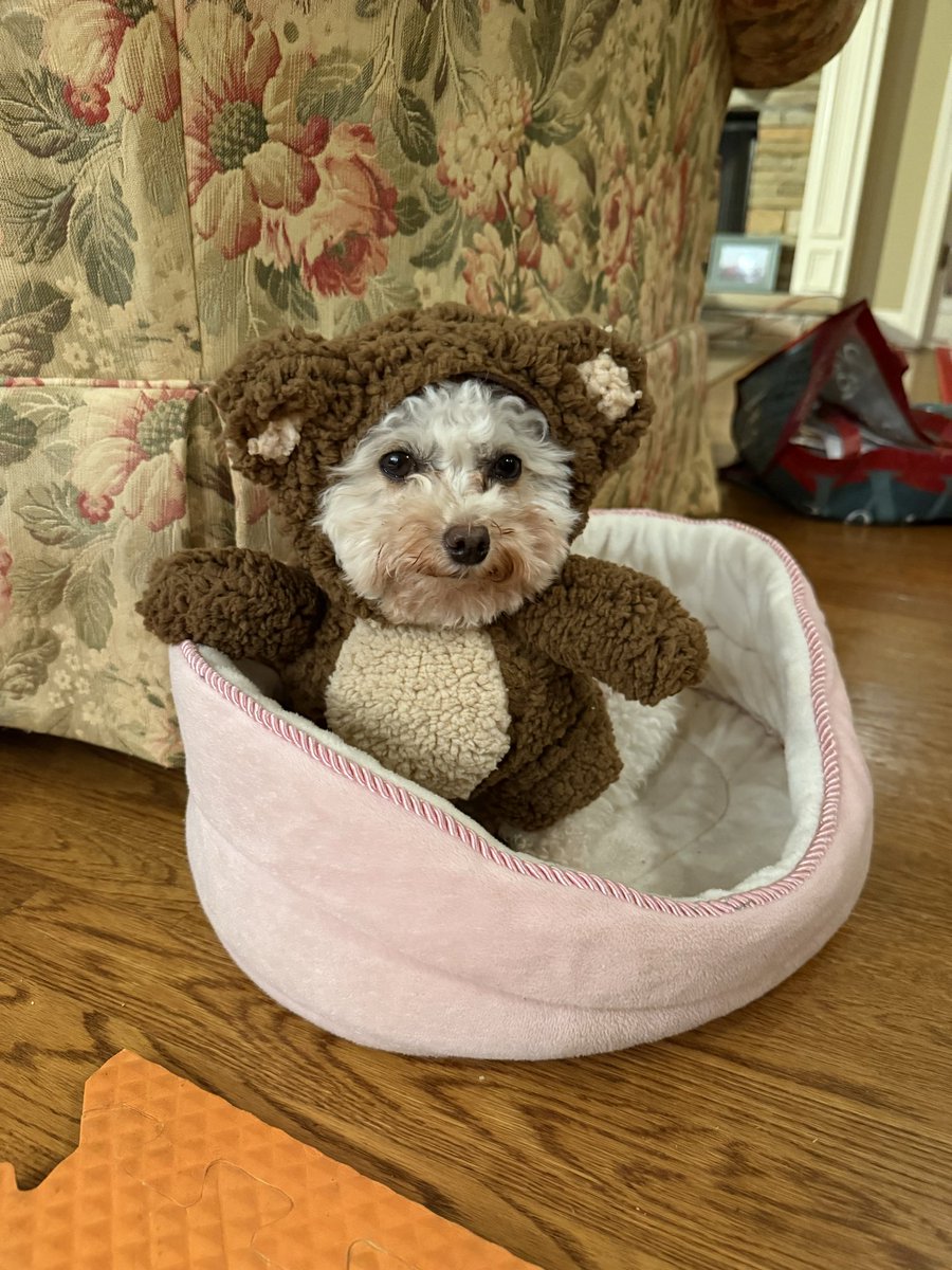 【ラッキーJrの変身❣️】

もう直ぐハロウィン🎃