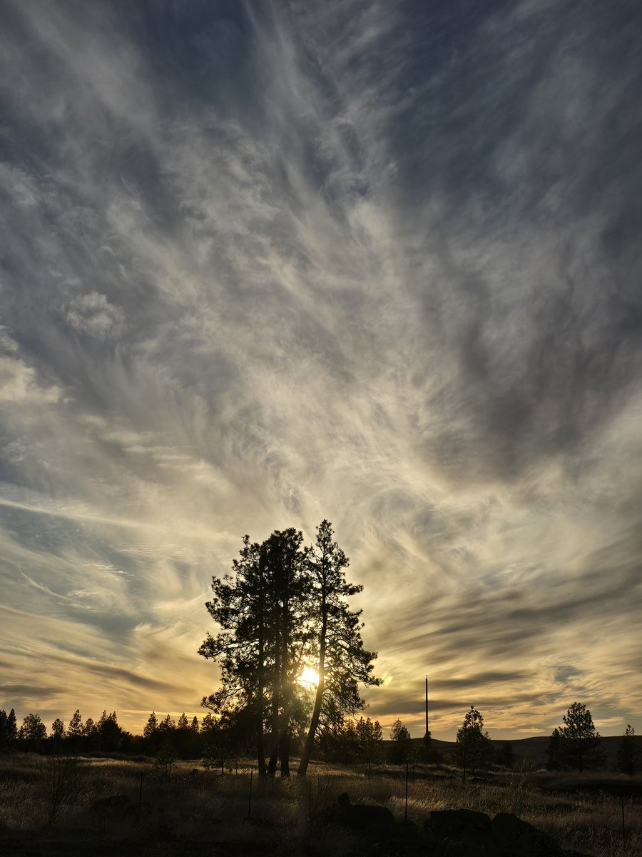 Beautiful sunset tonight calling it early. So I can get some extra rest.

Good Night Everyone.
Stay safe out there.