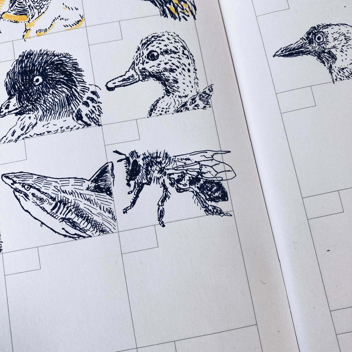 ミツバチは言葉を持たないのに、8の字ダンスだけで「あっちの方向に300メートル、めちゃくちゃ美味しい花があるよ」と仲間に正確に伝えられるんです。

ぼくたちも、言葉以外の方法で大切なことを伝えられるはずです。身振り手振り、表情、行動。