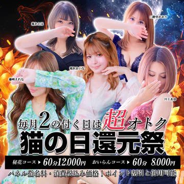 猫の日だよ〜🐈
今週の出勤は今日だけなのよ〜🐾

一緒にぬくぬくしてね😍