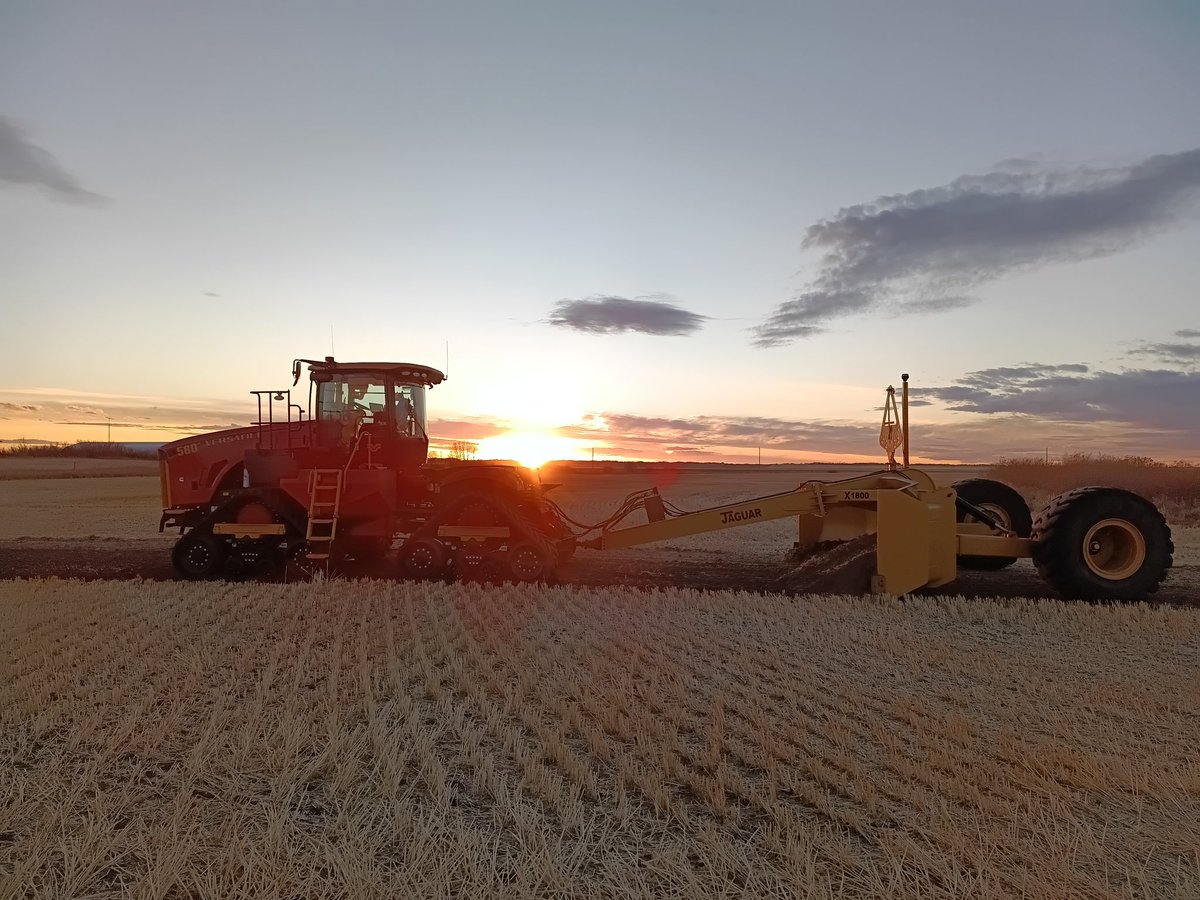 Kelsey Solick tweet media