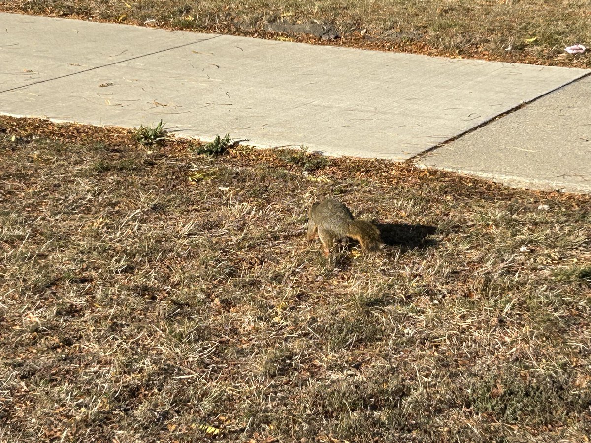 College has been very crazy yet very fun