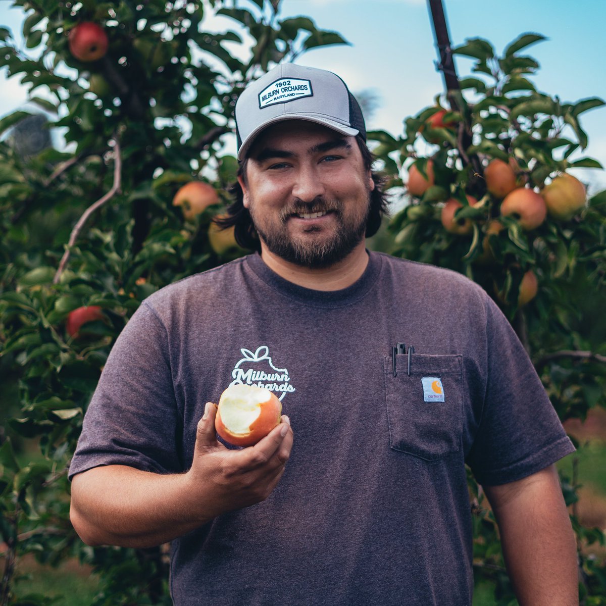 We're celebrating National Apple Day the only way we know how: with a big, crisp bite! 🍎 Enjoy this sweet treat that is grown on over 2,000 acres in Maryland.

📷 | Caleb Milburn from Milburn Orchards