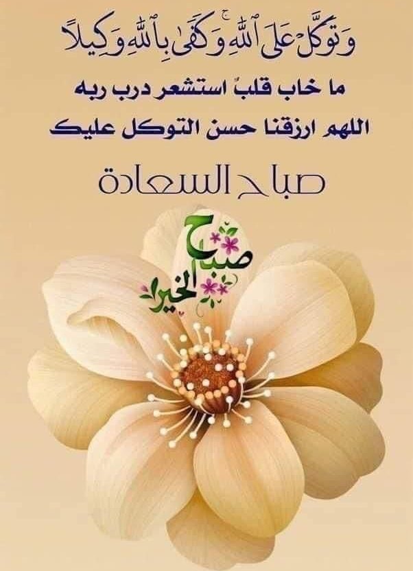 #وبك_اصبحنا 
قد يحتملك إنسان ويضحّي من أجلك كثيرًا، لكن تذكّر دائمًا: حين يتغيّر، لن يعود كما كان، وحين يرحل، لن يلتفت.
فلا تخسر قلبًا نادرًا، لأن الفرصة لا تتكرر مرتين.
#صباحكم_سعادة 🤍🕊️
#صباح_الخـــــــــــيرات💙🦋