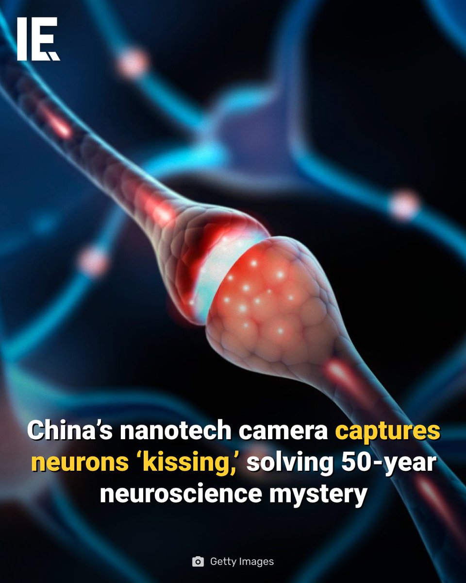 IntEngineering's tweet image. A new cryo-electron imaging system reveals how brain cells exchange signals in milliseconds, unifying decades of competing theories. bit.ly/4qmX4hj