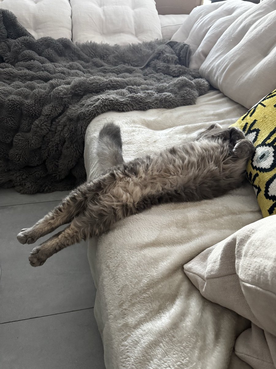 ☿️ T3tra tweet media