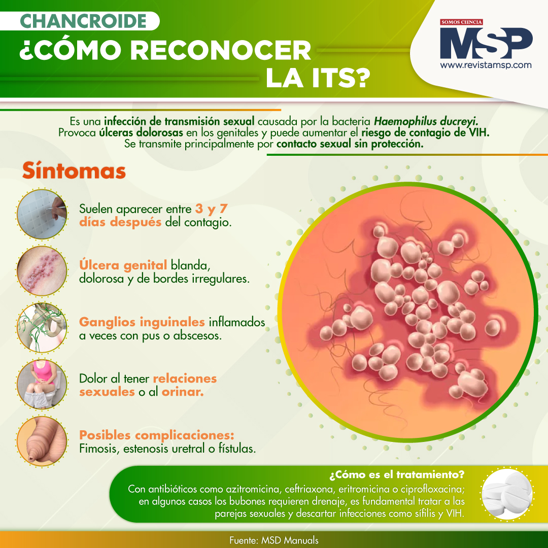 #MSPInmunología 🦠 Los síntomas asociados al chancroide suelen aparecer entre 3 y 7 días después del contacto sexual sin protección, e incluyen inflamación de ganglios inguinales y dolor al orinar o tener relaciones.
