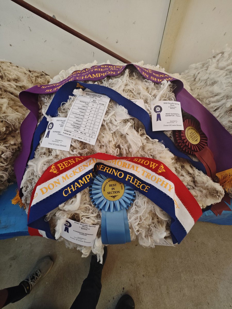 KennedyCreek1's tweet image. Congratulations to the Bennett's and thanks to the stewards. Great to see excellent weather and lots of people at the #BenallaShow