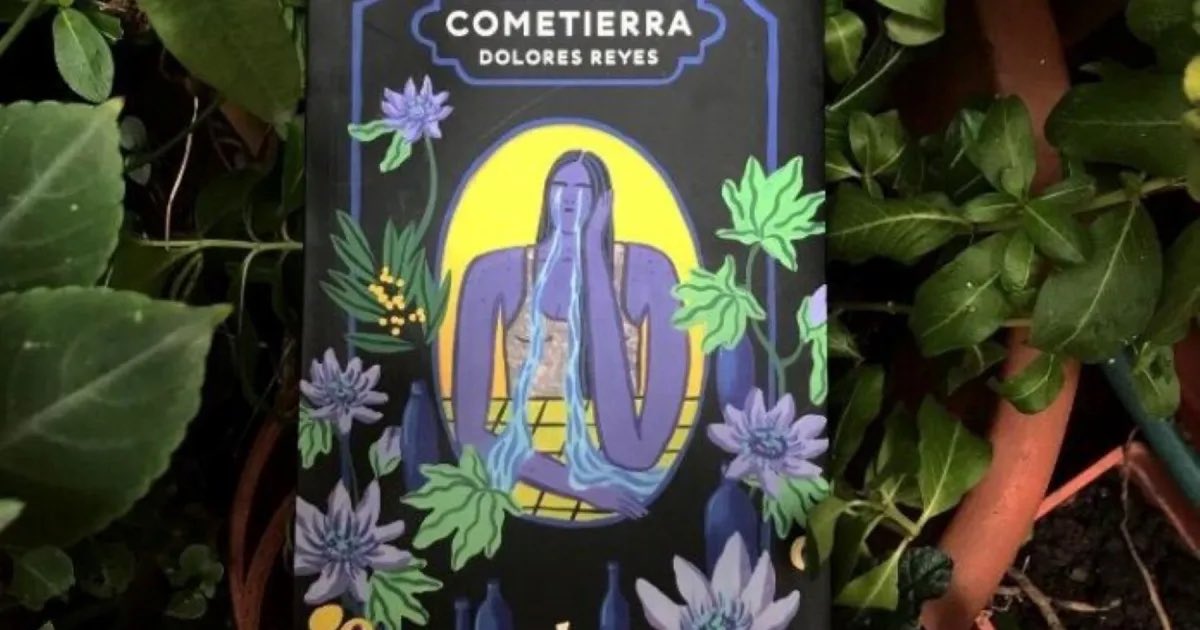 Gonzalo Lira Galván tweet media