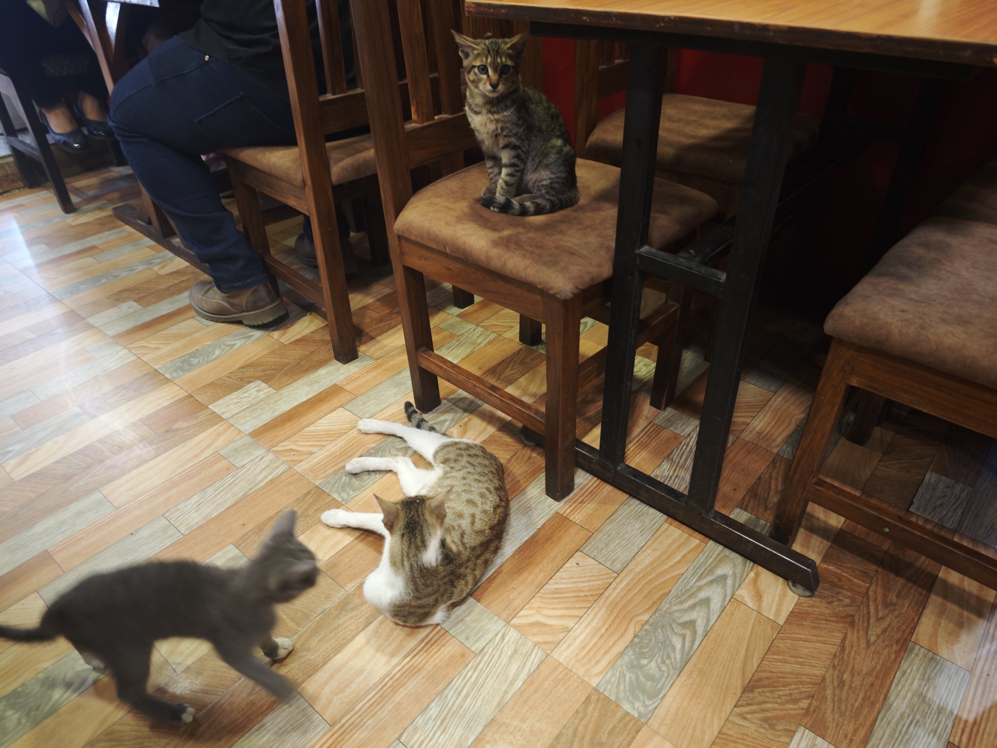 🌈🐈‍⬛ nae Ⅲ 🐈‍⬛🌈 (@_____nae_____) / X