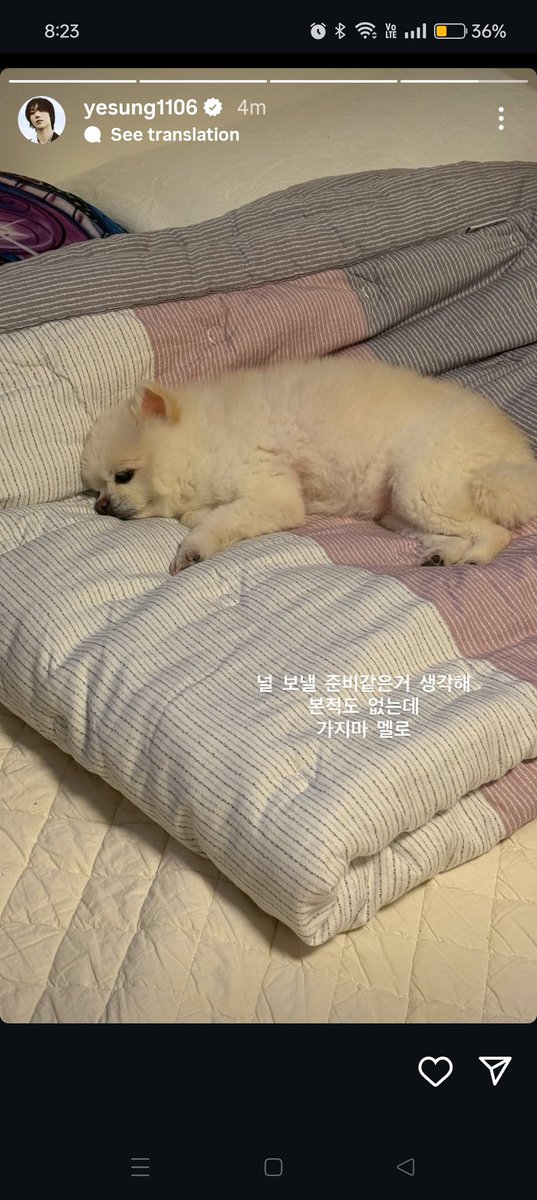 Yesung's IG stories about melo 💔 

(1)You were  this bright until half a day ago, but you don't even give me time to prepare my heart and leave like that, Melo

(2) I never thought about getting ready to let you go, don't go Melo 

Melo please don't go 😭💔💔