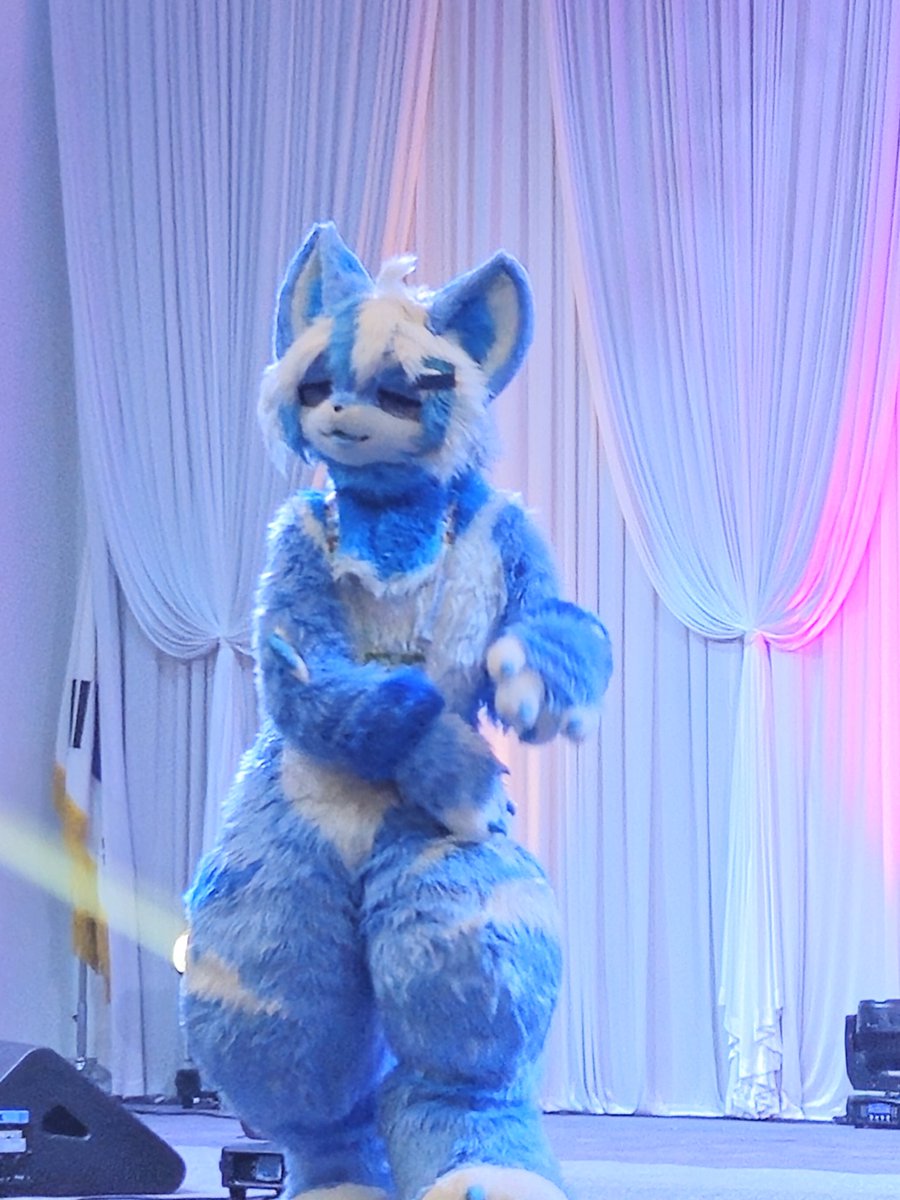 🦈😺
#퍼레이드2025 #FURRAID2025