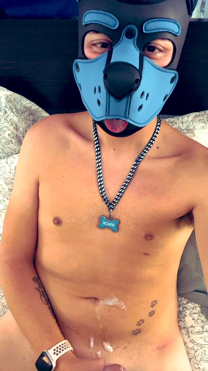 Who wants to lick up my puppy cum load 😋🐕

Onlyfans.com/puppyknox

<a href="/VanaPup24/">Pup Vana</a> 
#gay #gaybottom #gaytop #twinks #Onlyfansgay #gayporn #pupplay #twinkcouple #puppyplay #bigcock #breeding #pup #gaycouple #gaypuppy #bigdick #fatcock #bigcock #cum