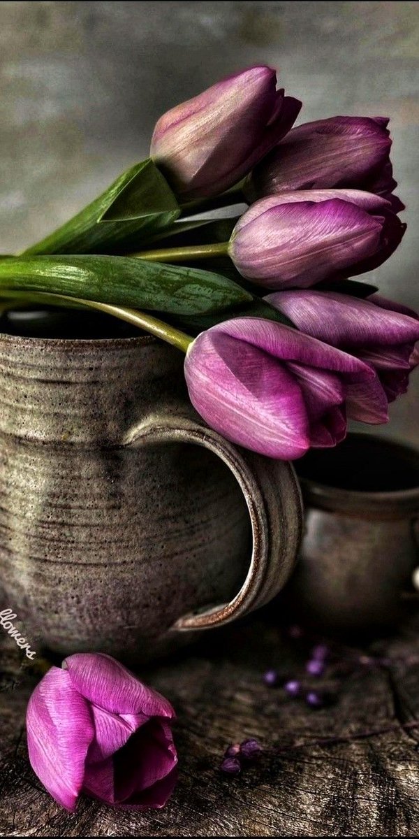 Güzel bir carşanba    sabahından yüregi
Güzel dostlarıma
Günaydın her dua 
 her kısmet
Nasibine vaktinde gelir

HAYIRLI SABAHLAR
YENİ GÜN YENİ   UMUTLARA AÇILSIN
KAPILARIMIZ.