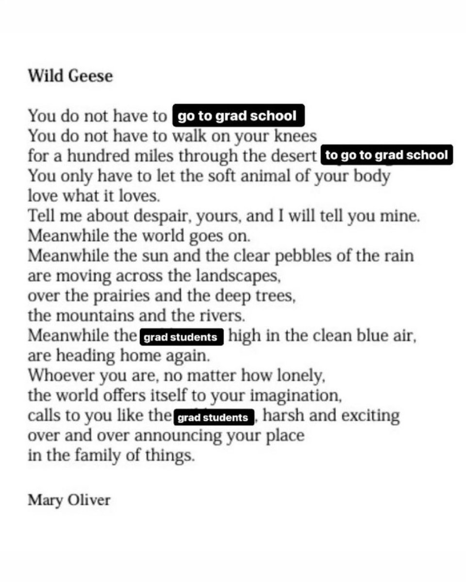 fulltimefig's tweet image. Sitting my ass down at the library for the next 13 hours to study for my two exams tomorrow morning