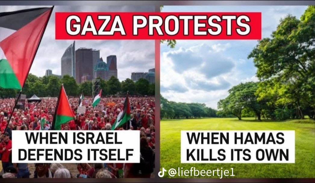 moeva18's tweet image. Wat zijn alle #rodelijn / #nietinmijnnaam lopers stil he!