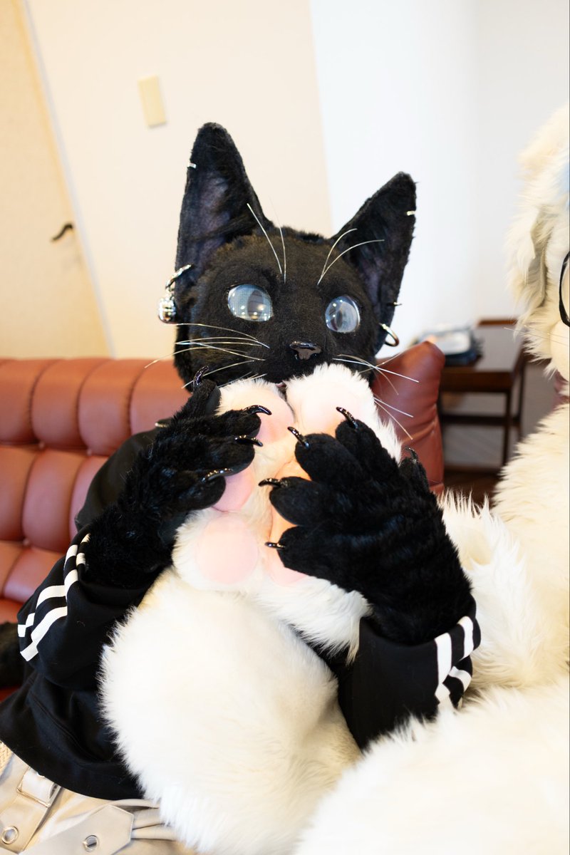 It tastes like cotton candy🍬🍭
 #FursuitEveryday 

📸 #ruknya_kon