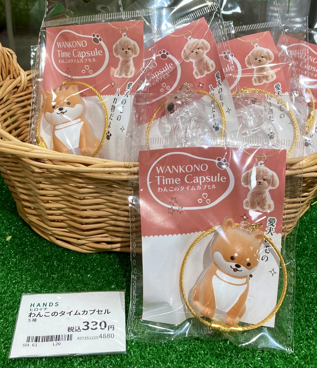 🐶新商品情報🐶 #わんこのタイムカプセル ワイヤーリング付きなので