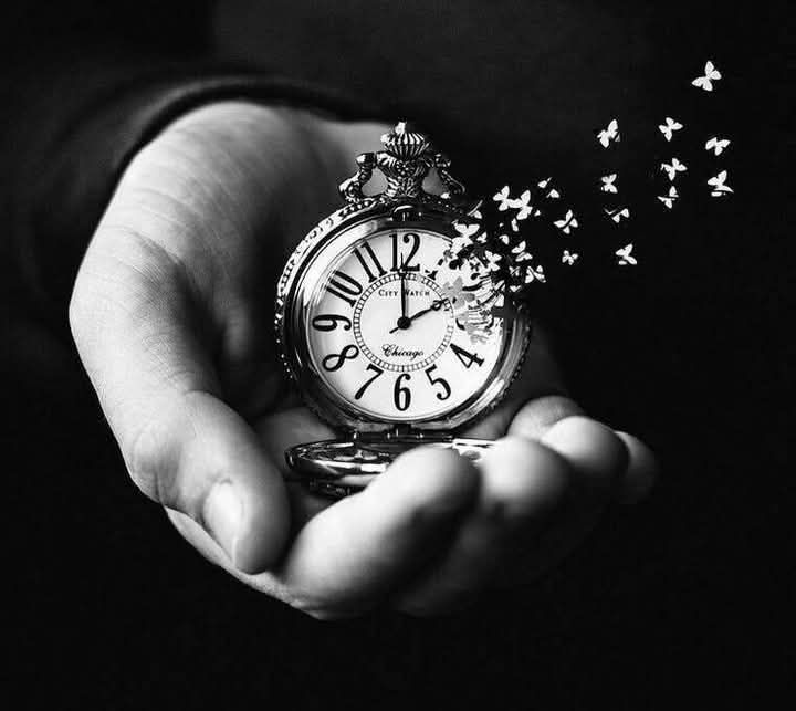 Talal Algharibi🇵🇸 tweet media