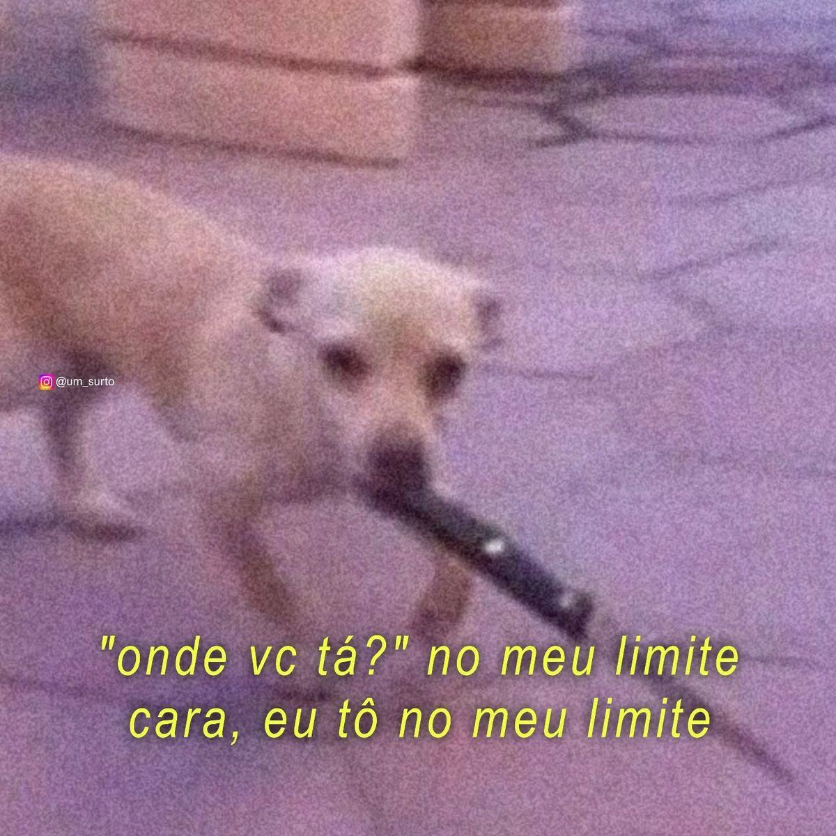 Meu deus ja é quarta feira e a minha mente já se tornou o circo inteiro