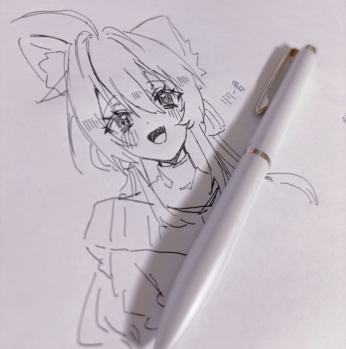 御たこ (@taco3o) on Twitter photo 