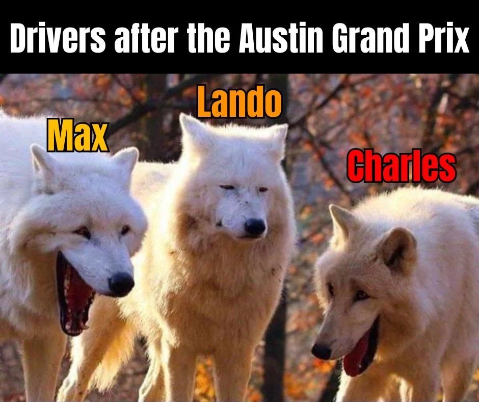 f1trollofficial's tweet photo. https://t.co/dtXxDWBv1N