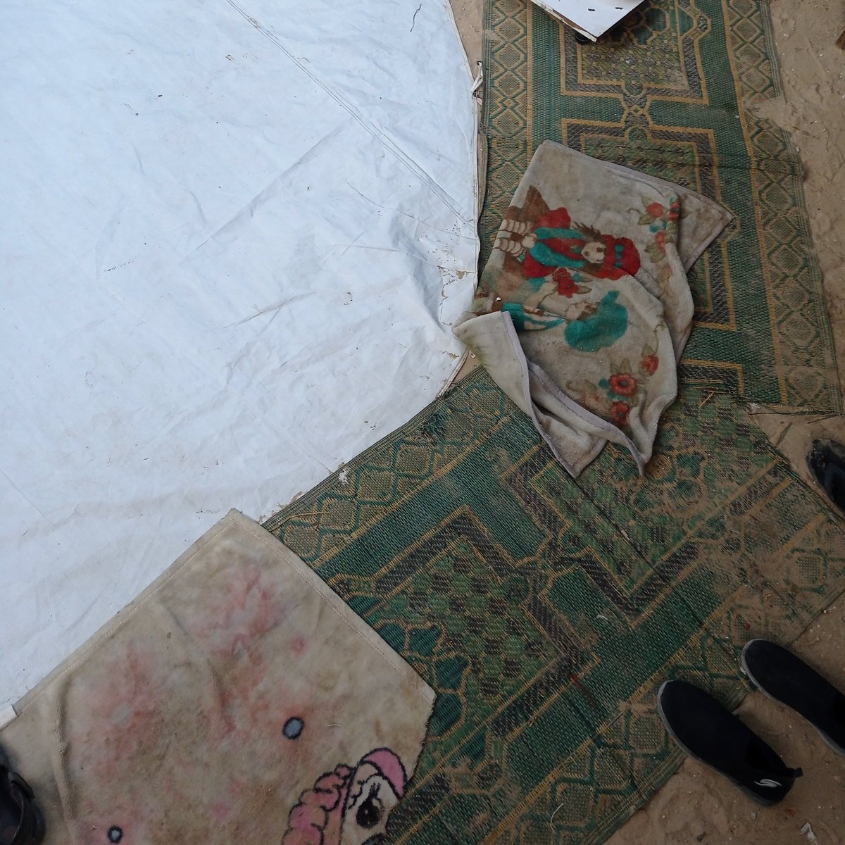nour_emad3322's tweet image. Every night we sleep with only a thin cover, and the cold has become unbearable. We shiver and can't take it anymore. Please, I still need $500—help me raise it so we can live in warmth. 💔😓🙏🏻
chuffed.org/project/httpsc…