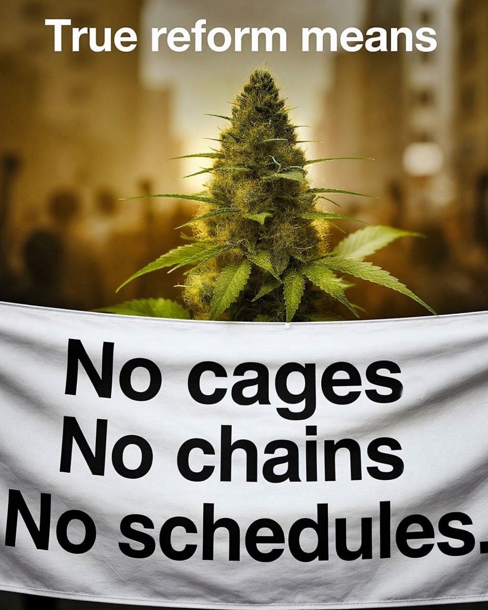 DescheduleEarth's tweet image. Real reform means cutting cannabis loose from outdated laws entirely. We cannot truly grow new opportunities for small businesses and fair jobs when the plant remains caught in a federal schedule. We need clear, simple rules that free the plant and free our communities, not just…