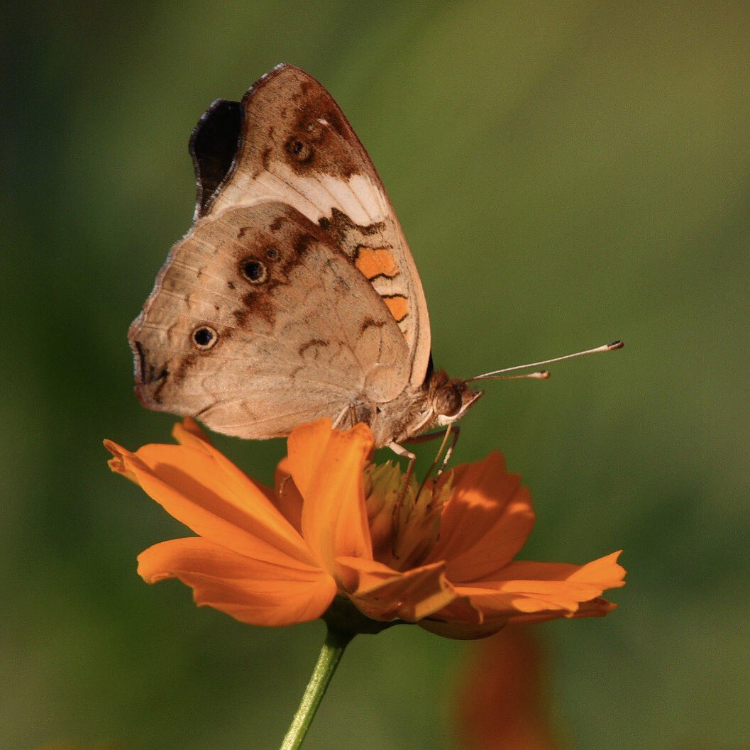 Kate Ryan tweet media