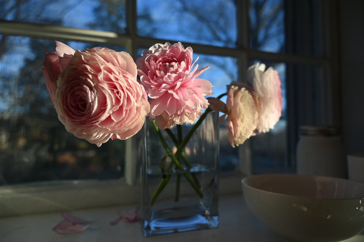 Kate Ryan tweet media