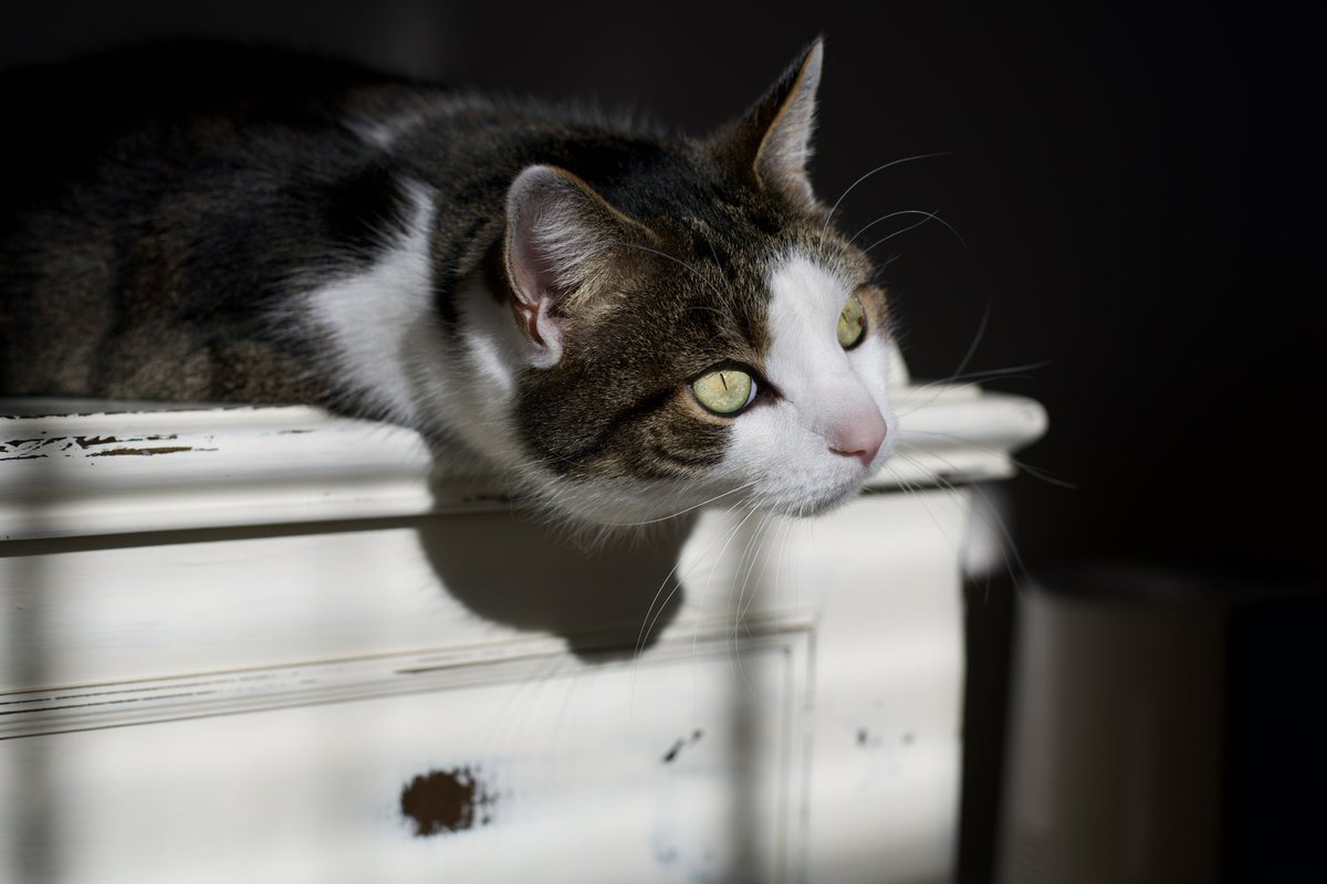 Kate Ryan tweet media