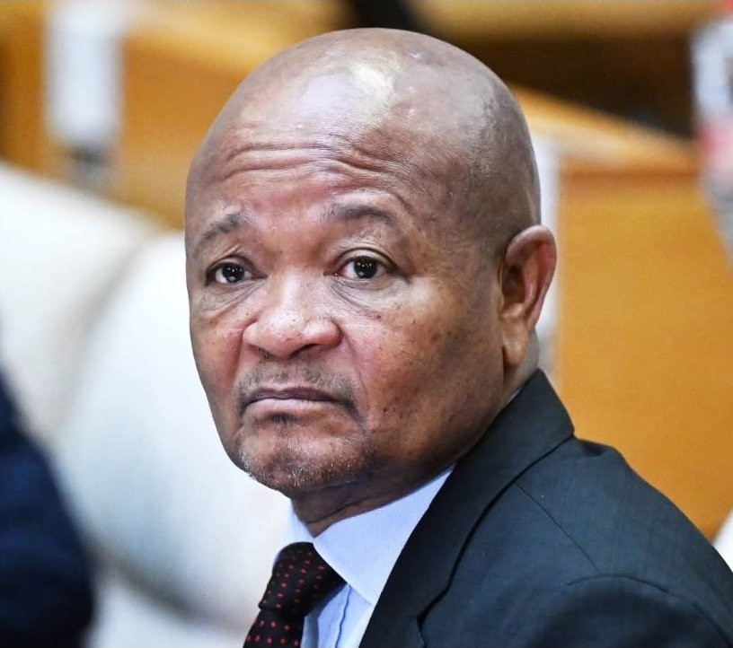 Mzwanele Manyi MP tweet media