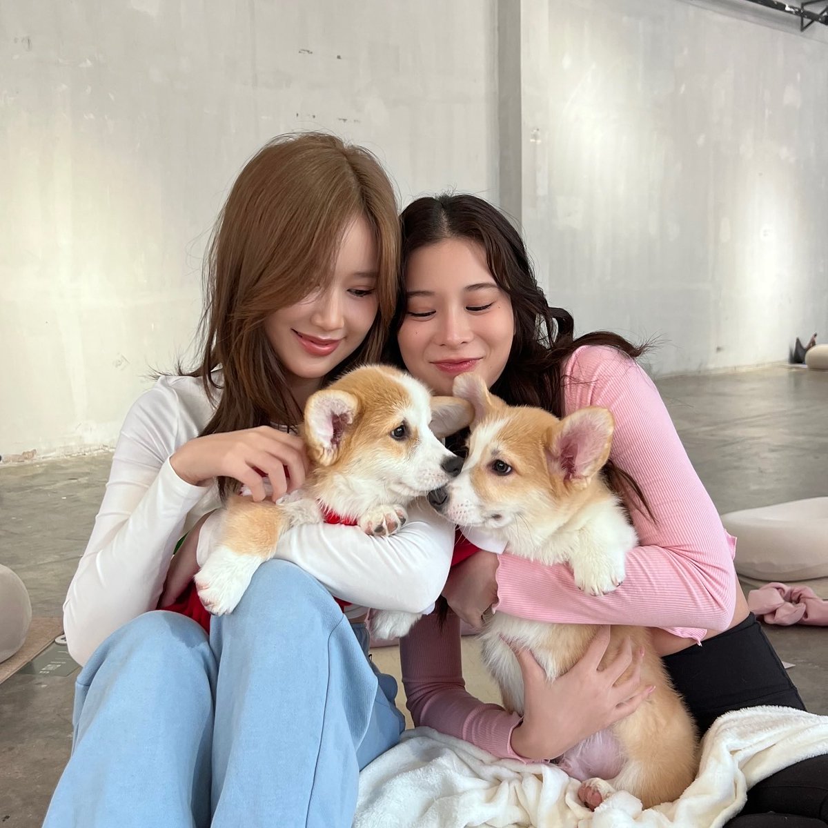 jia7ls's tweet photo. https://t.co/4FFxMhsOq1
