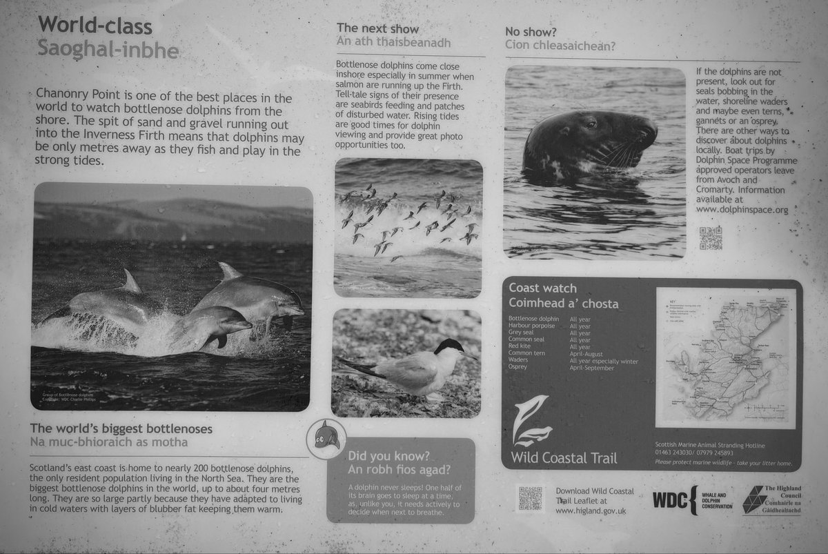 The rugged 4th is a standout hole, with Chanonry Point Lighthouse a useful target for the dangerous &amp; thrilling approach. What the golfers used for the first 53 years of <a href="/FortroseGC1793/">Fortrose Golf Links</a> , I am not sure. Perhaps they chose a specific bottlenose dolphin, paddling in the Firth…