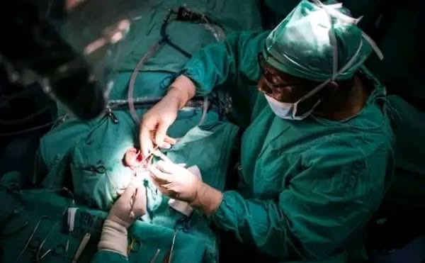NkomoNomantu's tweet photo. No DNA just RSA🇿🇦 ,Professor Mashudu Tshifularo &amp; team at the Steve Biko Academic Hospital in Tshwane successfully conducted the world's first ever middle ear transplant in 2019. We are a nation of pioneers; given the right support, nothing is impossible. https://t.co/DAnAG7bwGA