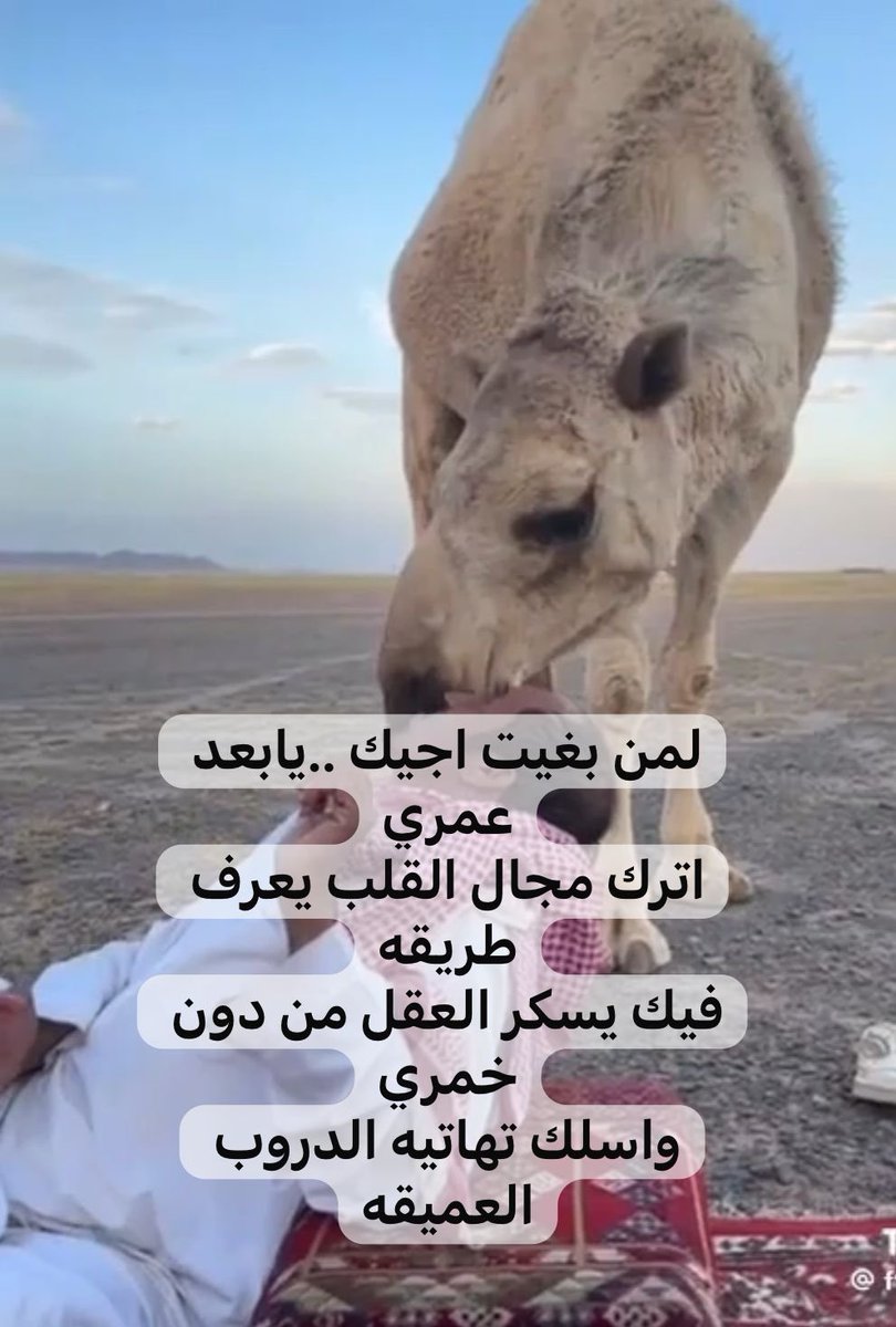 مياح بادي •| Ⓜ️ayah tweet media