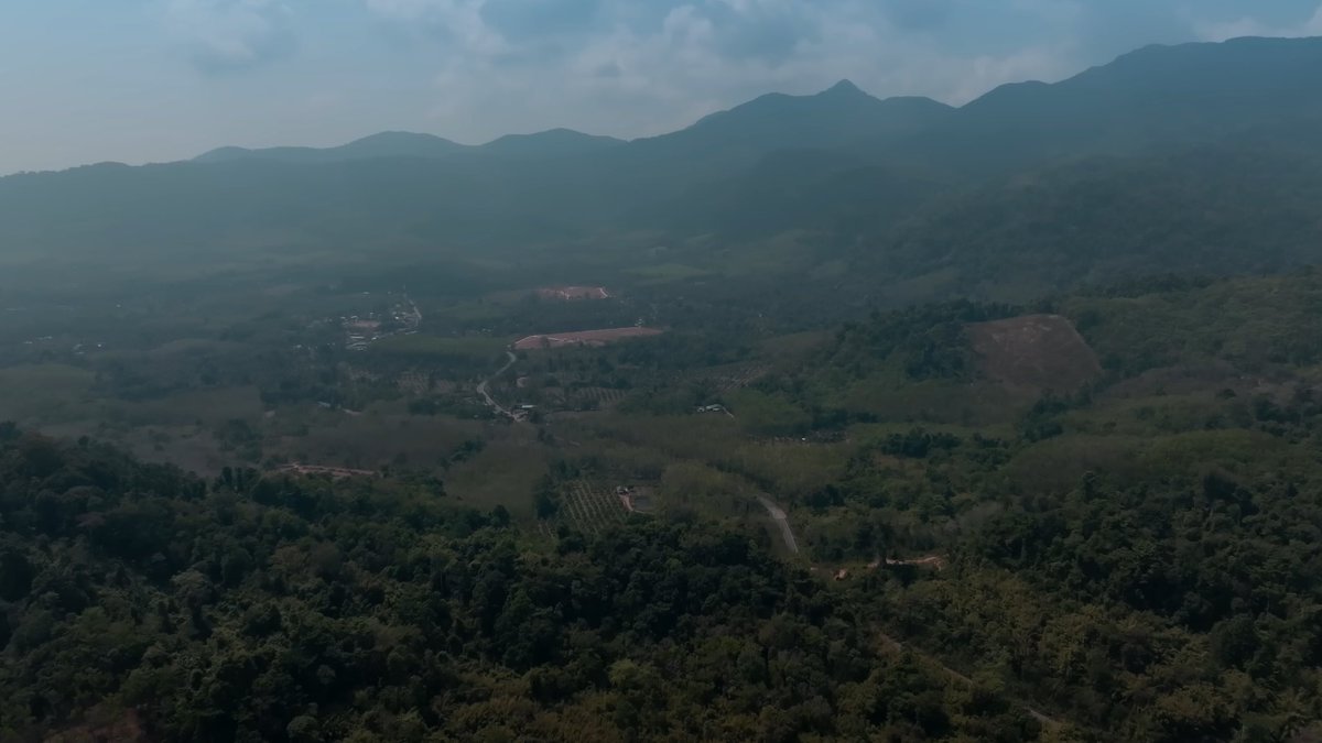 OFFICIAL PILOT | ที่สามของเธอ | Your Third Series

เป็นซีรีส์ที่วิวธรรมชาติสวยมาก ฝากจิ้มเลยๆ พี่สามน้องแจมรอเจอแล้ว ⛵️🏝️

 youtu.be/5KHgFEiPD4g?si… 

#ที่สามของเธอSeries
#YourThirdSeries