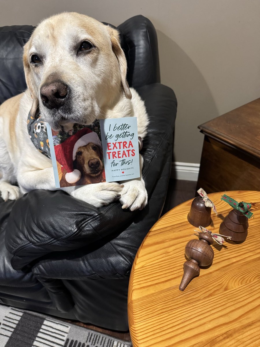 I got the most wonderful early Christmas present from our sweet friend, Angel Kate 🌈❤️<a href="/JudyK8e2sox/">Kate🌈🧡💛</a> . Her Dad made these special wood ornaments for our tree. We absolutely love them and will treasure them always, thank you. We love and miss you pal ❤️.
#dogsoftwitter 
#dogsofX