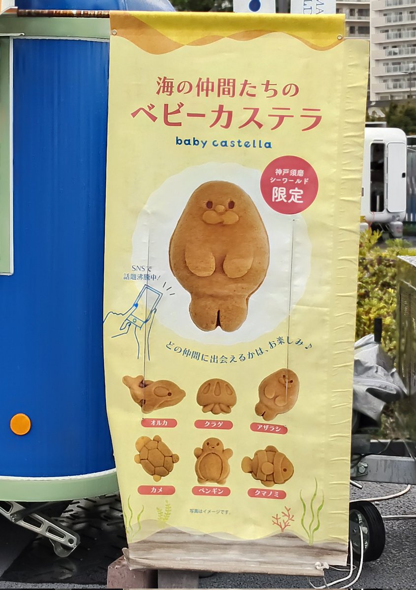 去年バズってた、アレ
販売始めてました🦭